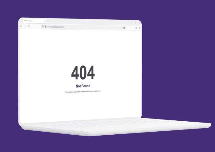 The old Neev Seeds website showing a 404 error page