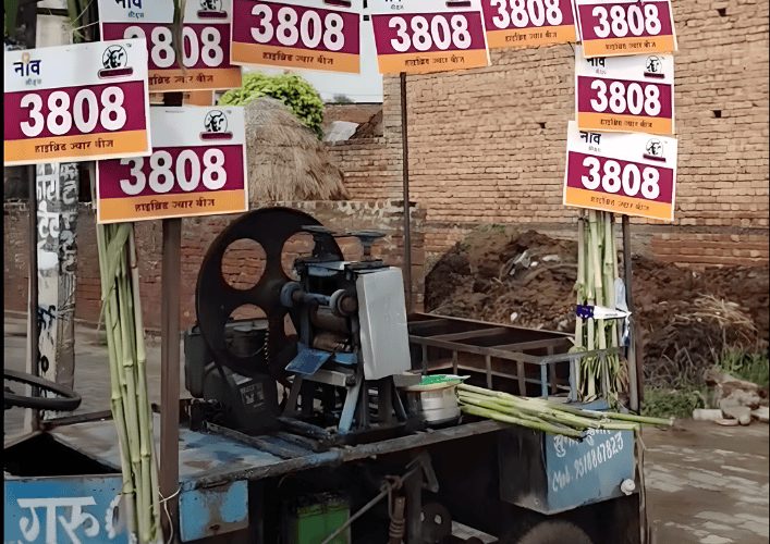Sugarcane juice machine branded with Neev Seeds sorghum 3808 boards