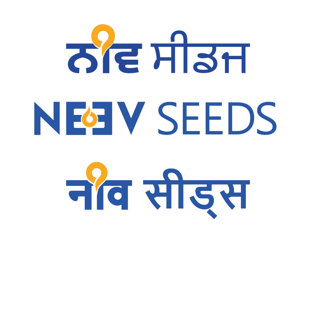 Neev Seeds logo in Punjabi, English and Hindi