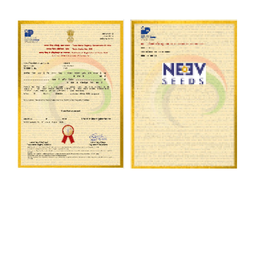Trademark certificates for the Neev Seeds logo